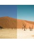 Exit Stamp Travel Presets