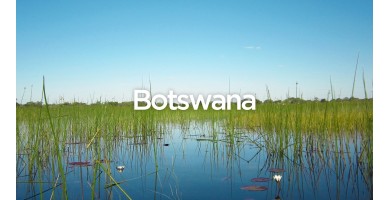 Exit To Botswana - The Complete Travel Guide
