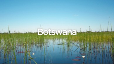 Exit To Botswana