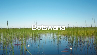 Exit To Botswana - The Complete Travel Guide