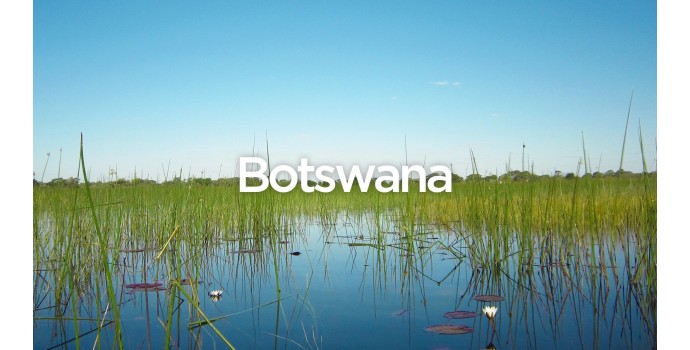 Exit To Botswana - The Complete Travel Guide