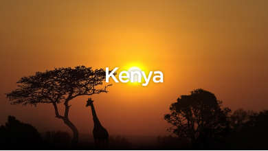 Exit To Kenya - The Complete Travel Guide