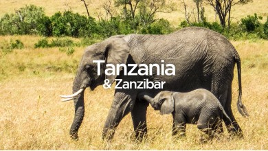Exit To Tanzania - The Complete Travel Guide