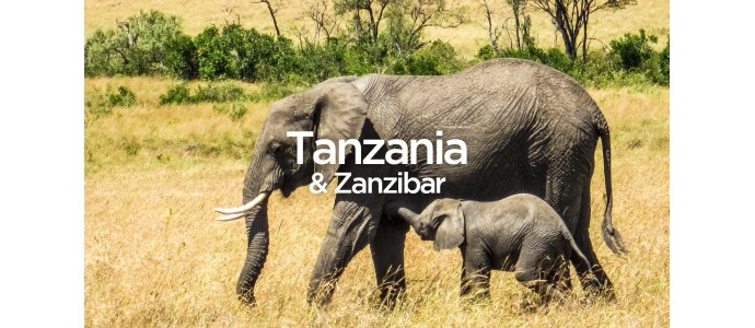 Exit To Tanzania - The Complete Travel Guide