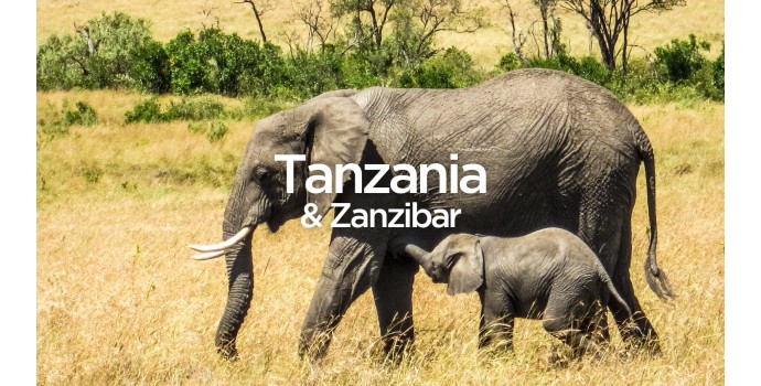 Exit To Tanzania - The Complete Travel Guide