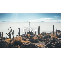 Exit To Bolivia - The Complete Travel Guide
