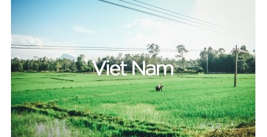 Exit To Vietnam - The Complete Travel Guide