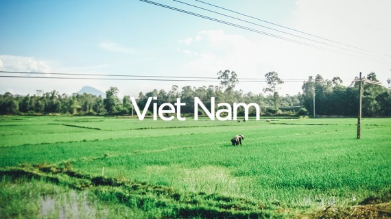 Vietnam | The Travel Guide